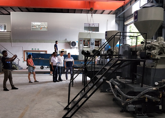 Gemakkelijk stel Schoen in werking Makend Machine voor Plastic Pantoffelssandelhout